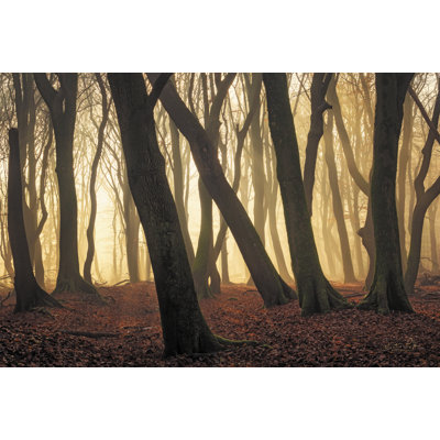 Silhouettes sur toile