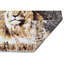 Canterbury Area Rug-72022846