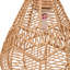 1 - Light  Pendant