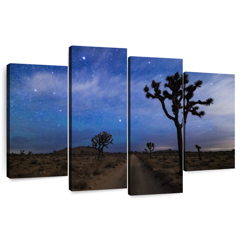 Alvord le ciel nocturne