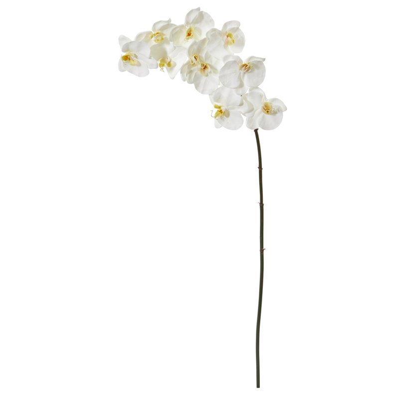 44” Large Phalaenopsis Orchid Stem With 12 Blooms - Pack Of 6, 42" H x 6" W x 1" D