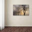 «Mystic Trees with Owl», reproduction de photo sur toile tendue-32709755