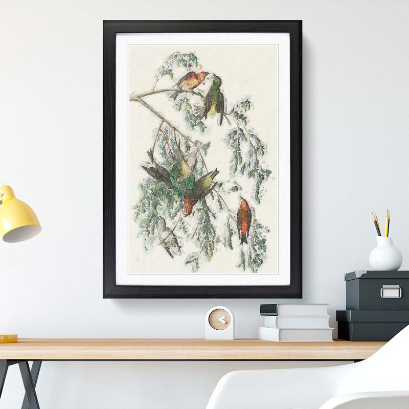 American Crossbill Birds by John Audubon - 1 Piece Single Picture Frame Painting, 33cm H x 24cm W x 2cm D, Black Framed