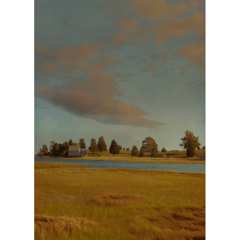 Cape Cod Marsh Print by Kate Woodman, 48" H x 36" W