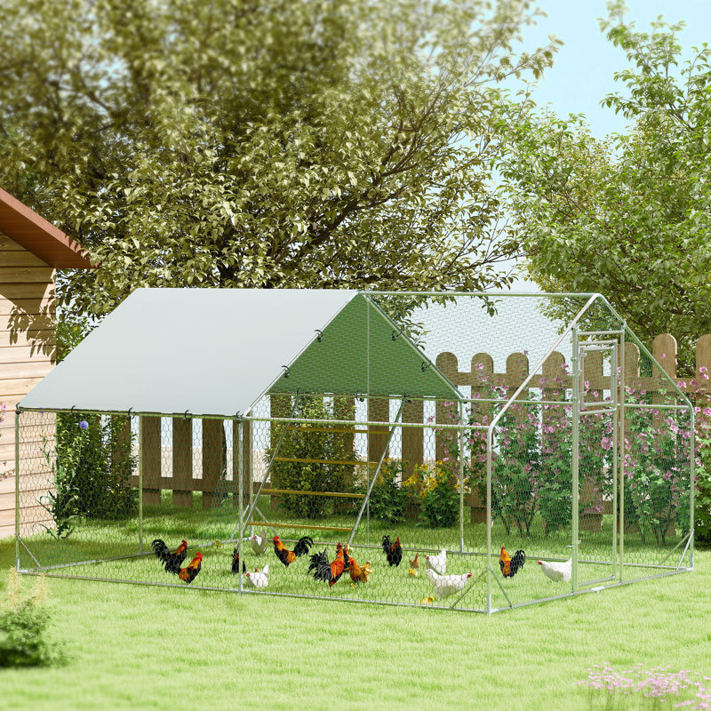 Walk-in Chicken Run with Cove Hanging Feeder Perch for 12-18 Poultry