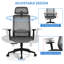 Chaise de bureau Office-1550055692