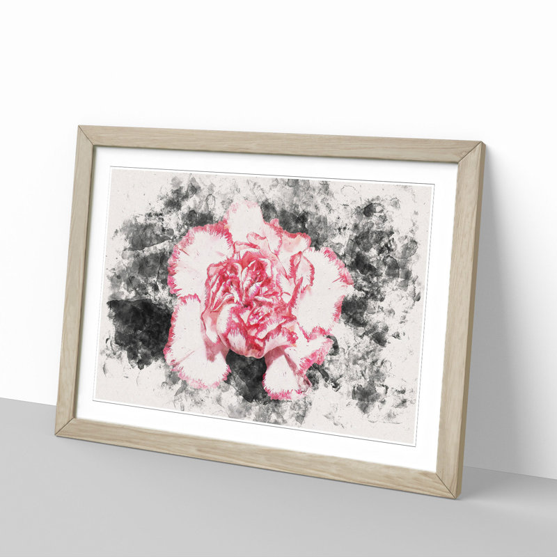 Pink Carnation Flower - Framed Print, 24cm H x 33cm W x 2cm D, Oak Framed