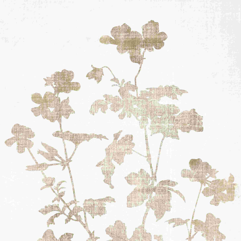 " Botanical Cream Sketch ", 12" H x 12" W