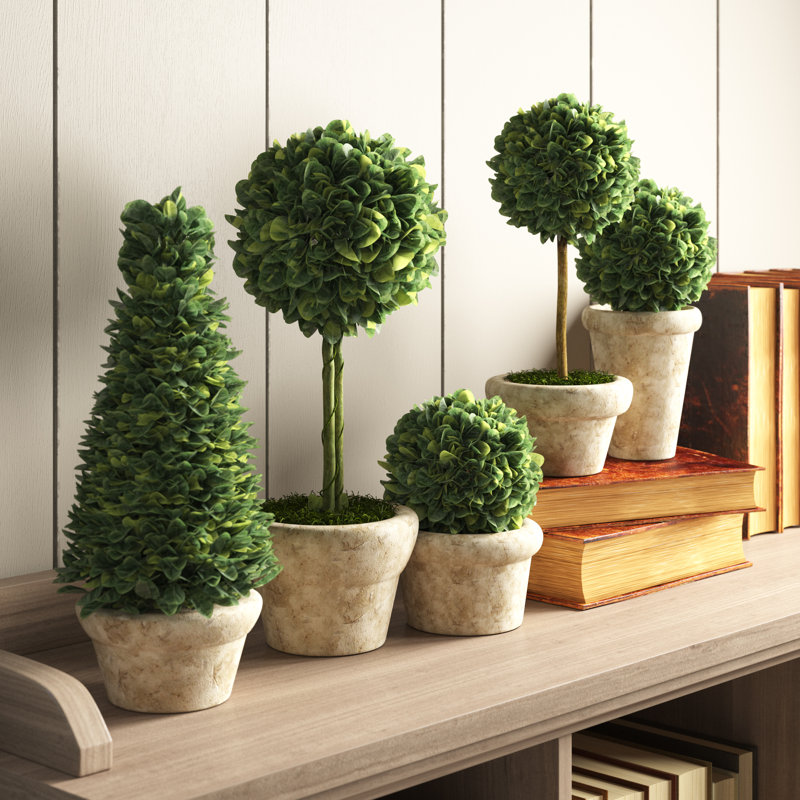 Ensemble de pots topiaires Alby 5 pièces