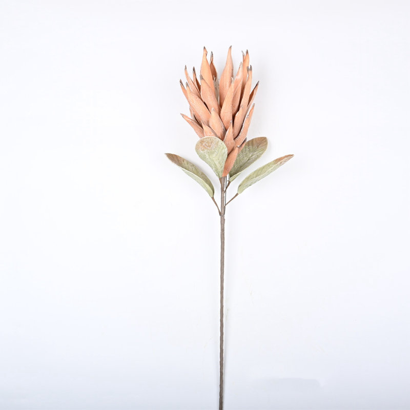 Protea Cynaroides, arrangement floral, longue tige, Orange
