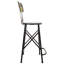 Tatianina Counter Stool with Metal Frame