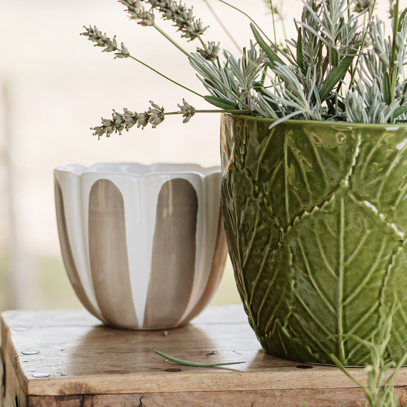 Cache-pot moyen Viva Garden, H 4,25 po x l 5 po x P 5 po, Brun clair / beige