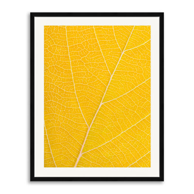 Autumn Leaf Print by Philippe Monthoux
