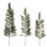 Pine Floral Stems