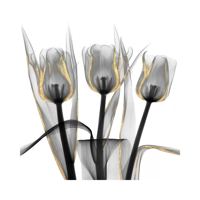 Gold Embellished Tulips IV 1 Piece Wrapped Canvas Wall Art, 45.72 cm H x 45.72 cm W x 3.175 cm D