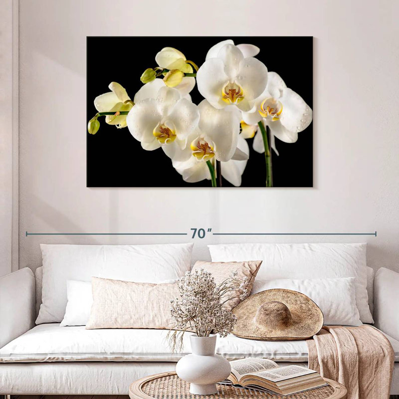 Fleurs d'orchidée blanches fraîches Harnek, H 20 po x l 30 po