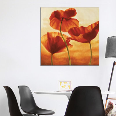 Poppies In Sunlight II by Andrea Kahn - Wrapped Canvas Print