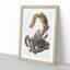 Cat Squirrels by J.W. Audubon - Picture Frame Graphic Art Print-55513682-55513686