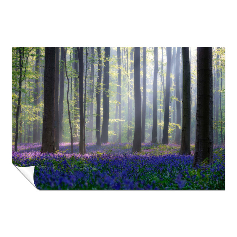 Purple Bluebells On A Summer - No Frame Print, 31cm H x 20cm W