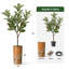 Arbre artificiel en fleur noire et blanche-104345528