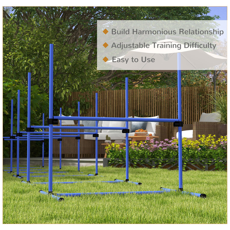 Blue Adjustable Height Dog Agility Training Kit with Carry Bag