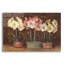 "Amaryllis On Brown" par Carol Rowan-1783328572