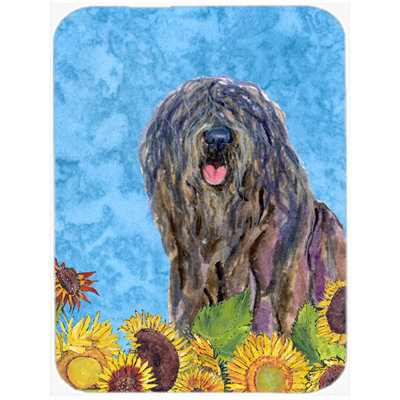 Planche à découper en verre trésors caroline Bergamasco Sheepdog