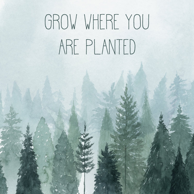 Little Grower II by Grace Popp - Wrapped Canvas Print, 91cm H x 91cm W