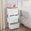Rikeisha 5 Drawer Storage Drawer-67913837