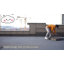 Dog Fence /Playpen 60cm H Dog Playpen