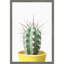 «Spikey Cactus» par Wortman, reproduction d'art sur toile encadrée-1977344424