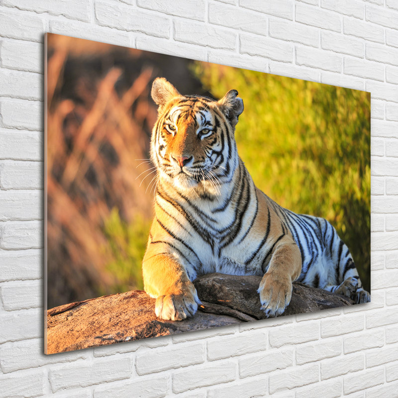 Portrait Of A Tiger - No Frame Print on Glass
