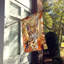 Chat en feuilles d'automne-112700511
