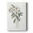 Mountain Laurel I -Gallery Wrapped Cavas-1145549880