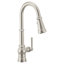 Paterson 3 In 1 Water Filtration Pulldown Kitchen Faucet
