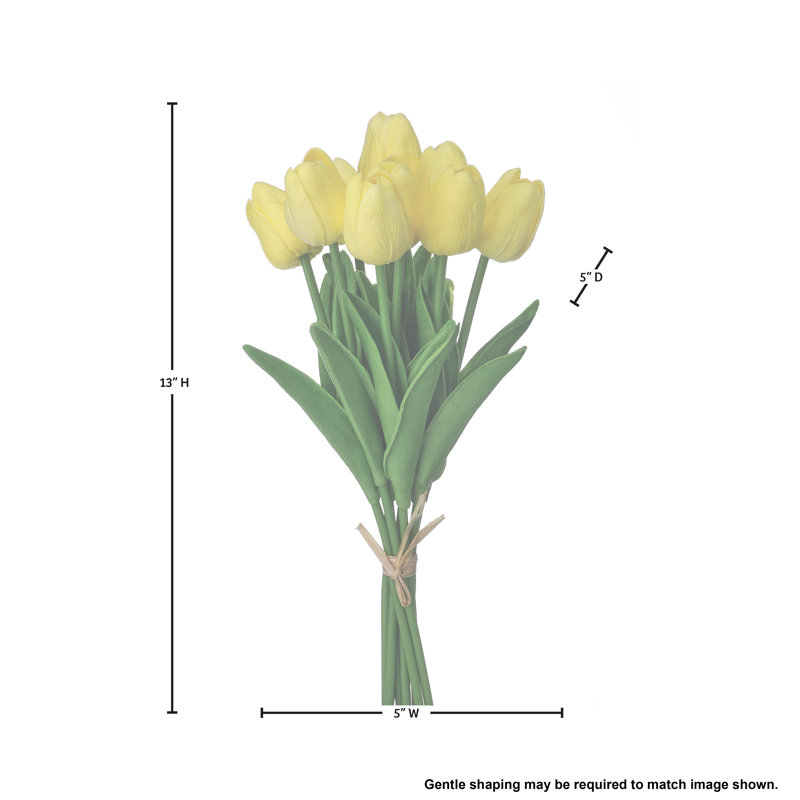 Ensemble de tulipes 13 po Eva, Jaune