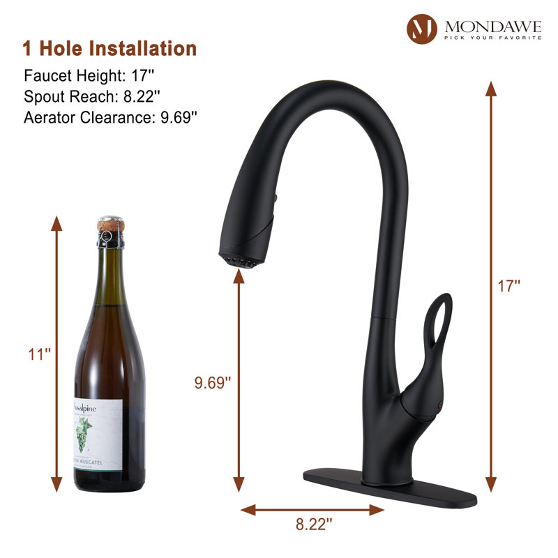 Robinet de cuisine rétractable à poignée simple avec accessoires, Noir mat