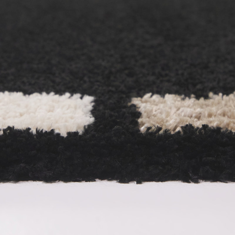 Rosado Black/Cream Geometric Border Area Rug, Rectangle 5'3" x 7'