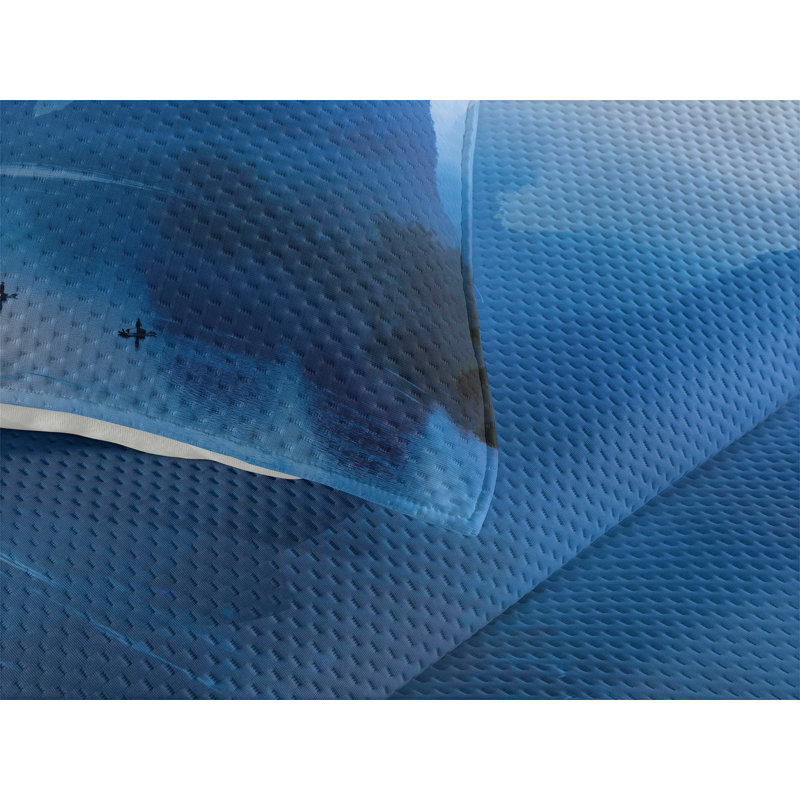 Modern & Contemporary Polyester Coverlet