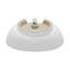 Ivy 23 Oval Ceramic Vessel Sink