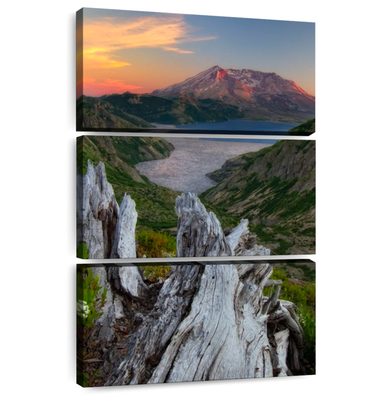 Paysage du lac Alvord Spirit, H 38 po x l 24 po