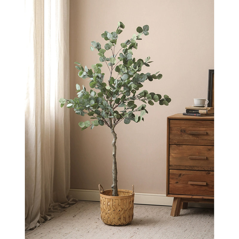 Arbre d'intérieur Simulation Eucalyptus