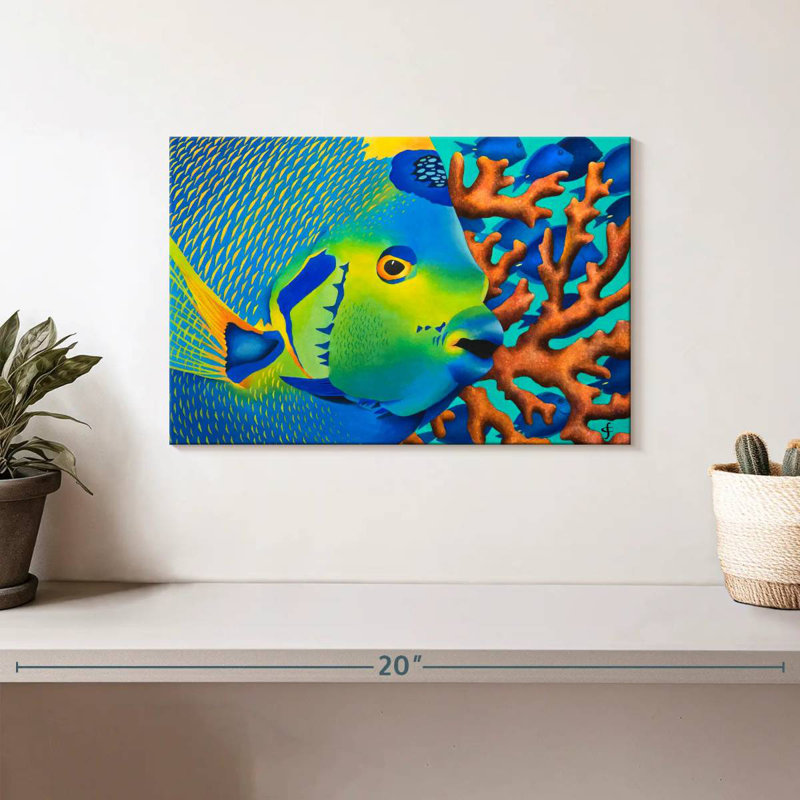 Brampt Angelfish, 8" H x 12" W