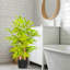 60 cm H Faux Bamboo Tree Plant in Cement Freestanding  Planter