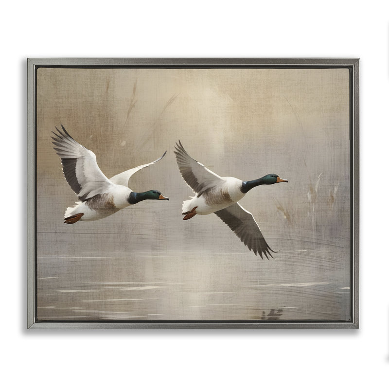 Cadre flottant Mallard Ducks over Pond, design par Susan Arnot, Cadre flottant gris lustré, H 17 po x l 21 po