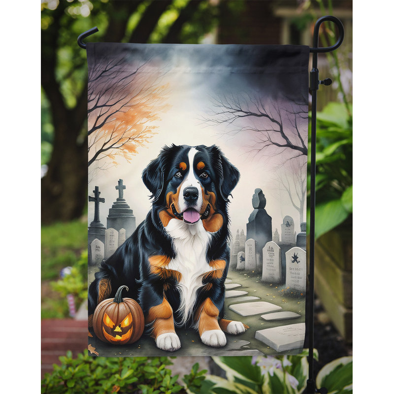 Double Sided 15.5'' H x 11.25'' W Polyester Halloween Garden Flag