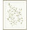 Leafy Vines 2 Print by Studio L57 Affinity
