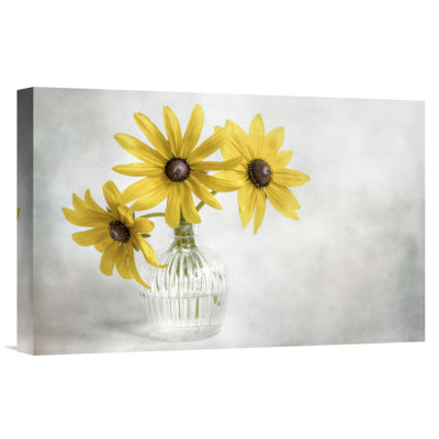 " Rudbeckia "