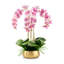 Wynn RealTouch Orchid-224344535