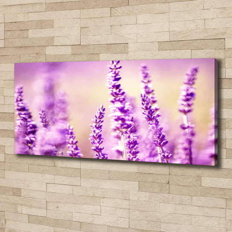 Lavender 1 Piece Wall Art on Canvas